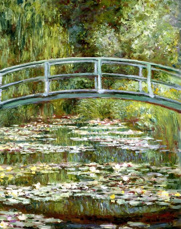 net's Water Lilies